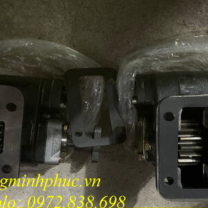 Cóc ben (PTO) WLY6T46